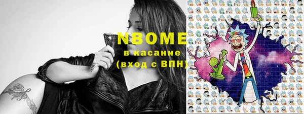стаф Алексин